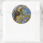 Eekhoorn grote stickers (Tas)