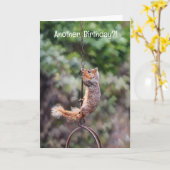 Eekhoorn Hanging op een Chain Funny Verjaardag Kaa Kaart (Gele Bloem)