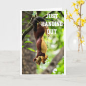 EEKHOORN HANGT ROND OM GELUKKIGE "VERJAARDAG" TE Z KAART (Gele Bloem)