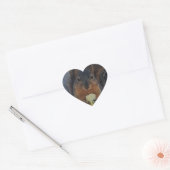 eekhoorn hart sticker (Envelop)