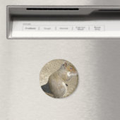 Eekhoorn Hongerige Horatio Magneet (Insitu (Vaatwasser))