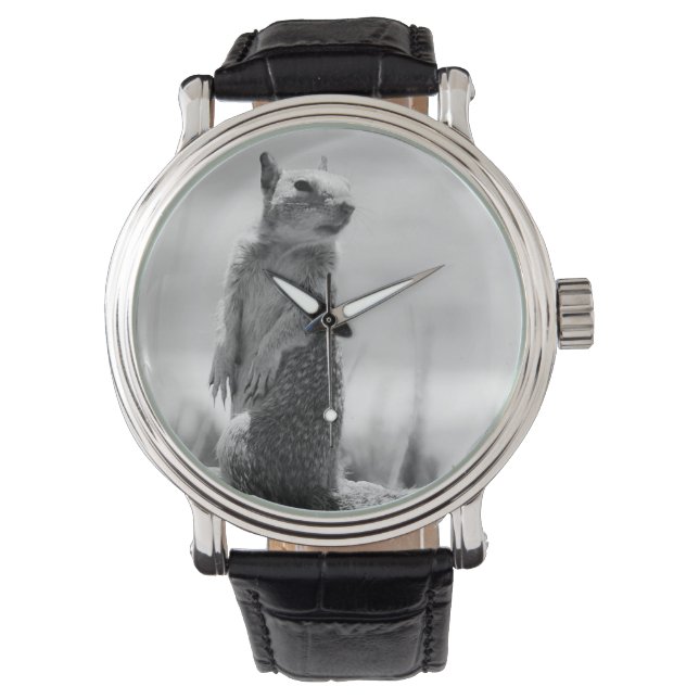 eekhoorn horloge (Voorkant)