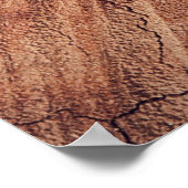 Eekhoorn - hout poster (Hoek)