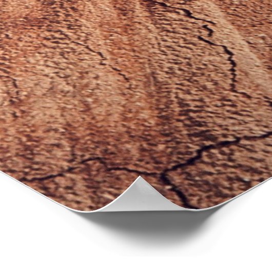 Eekhoorn - hout poster (Hoek)