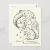  Eekhoorn Illustratie Tekening Briefkaart (Voorkant / Achterkant)