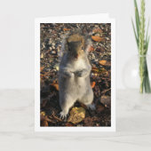 Eekhoorn in Bladeren Kaart (Voorkant)