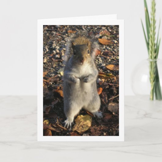 Eekhoorn in Bladeren Kaart (Voorkant)