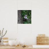 Eekhoorn in boom Foto Poster (Keuken)