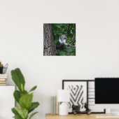 Eekhoorn in boom Foto Poster (Thuiskantoor)