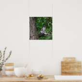 Eekhoorn in boom Foto Poster (Keuken)