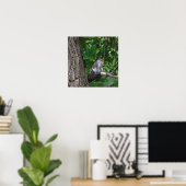 Eekhoorn in boom Foto Poster (Thuiskantoor)
