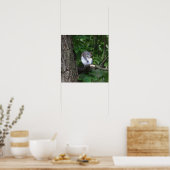 Eekhoorn in boom Foto Poster (Keuken)