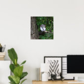 Eekhoorn in boom Foto Poster (Thuiskantoor)