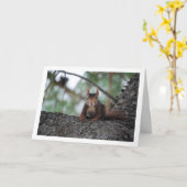 Eekhoorn in boom kaart (Gele Bloem)