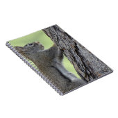 Eekhoorn in boom notitieboek (Rechterzijde)