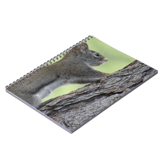 Eekhoorn in boom notitieboek (Linkerzijde)