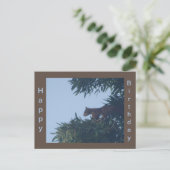 Eekhoorn in boom Verjaardagsansichtkaart Briefkaart (Staand voorkant)