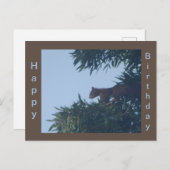 Eekhoorn in boom Verjaardagsansichtkaart Briefkaart (Voorkant / Achterkant)