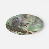 eekhoorn in bospapier Bord (Gekanteld)