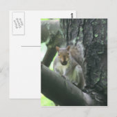 Eekhoorn in Briefkaart van de Kunst van de Boom (Voorkant / Achterkant)
