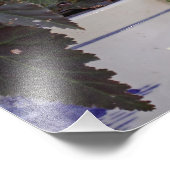 Eekhoorn in de bloempot foto afdruk (Hoek)