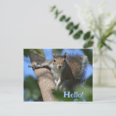 Eekhoorn in de boom die je Schattige fotografeert Briefkaart (Staand voorkant)