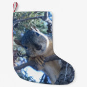 Eekhoorn in de boom - kleine kerstsok (Voorkant)