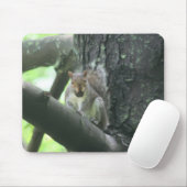Eekhoorn in de boomdierkunst muismat (Met muis)