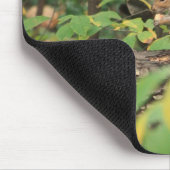 Eekhoorn in de herfst van Mousepad Muismat (Hoek)