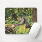 Eekhoorn in de herfst van Mousepad Muismat (Met muis)