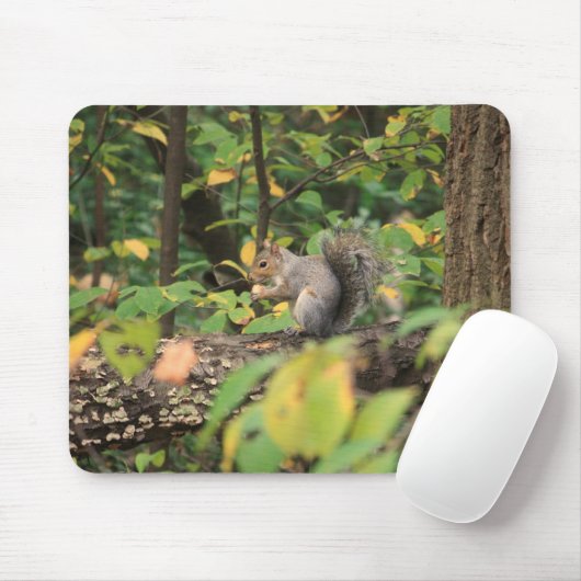 Eekhoorn in de herfst van Mousepad Muismat (Met muis)