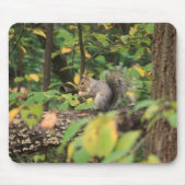 Eekhoorn in de herfst van Mousepad Muismat (Voorkant)