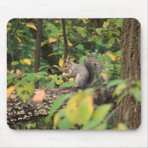 Eekhoorn in de herfst van Mousepad Muismat
