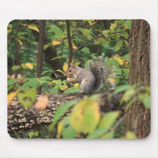 Eekhoorn in de herfst van Mousepad Muismat (Voorkant)