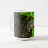 Eekhoorn in de Mok van de Natuur van de eiken (Voorkant links)