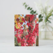Eekhoorn in de rode herfstboom briefkaart (Staand voorkant)