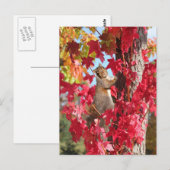 Eekhoorn in de rode herfstboom briefkaart (Voorkant / Achterkant)