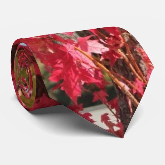 Eekhoorn in de rode herfstboom stropdas (Opgerold)