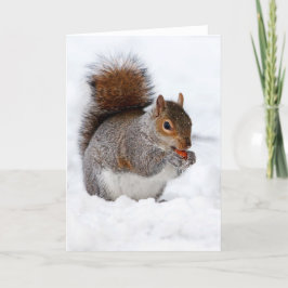 Eekhoorn in de sneeuw kaart