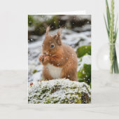 Eekhoorn in de sneeuw kerstkaart kaart (Voorkant)