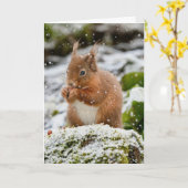 Eekhoorn in de sneeuw kerstkaart kaart (Gele Bloem)