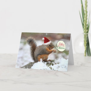 Eekhoorn in de sneeuw Kerstmis Feestdagen Kaart