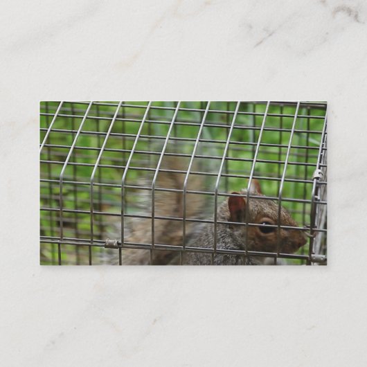 Eekhoorn in de val visitekaartje (Achterkant)