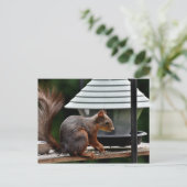 Eekhoorn in de Vogelfeeder Briefkaart (Staand voorkant)