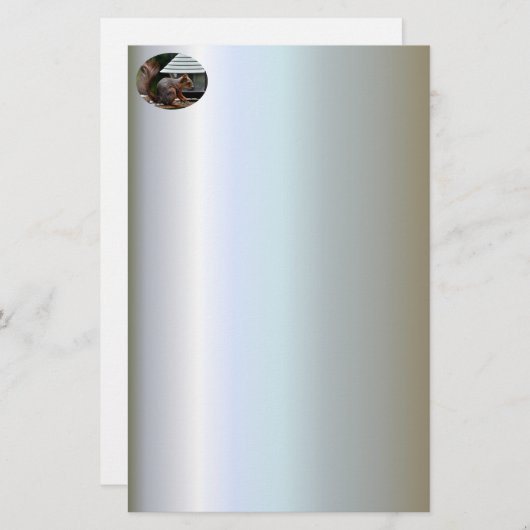 Eekhoorn in de Vogelfeeder Briefpapier (Voorkant / Achterkant)