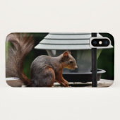 Eekhoorn in de Vogelfeeder Case-Mate iPhone Case (Achterkant (horizontaal))