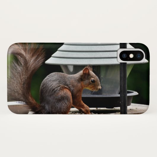 Eekhoorn in de Vogelfeeder Case-Mate iPhone Case (Achterkant (horizontaal))