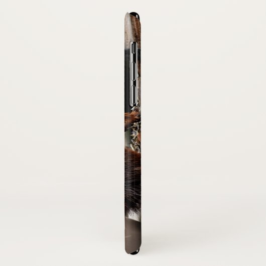 Eekhoorn in de Vogelfeeder Case-Mate iPhone Case (Achterkant/links)