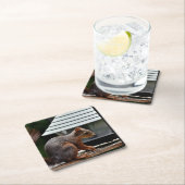 Eekhoorn in de Vogelfeeder Kartonnen Onderzetters (Insitu)