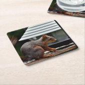 Eekhoorn in de Vogelfeeder Kartonnen Onderzetters (Schuin)